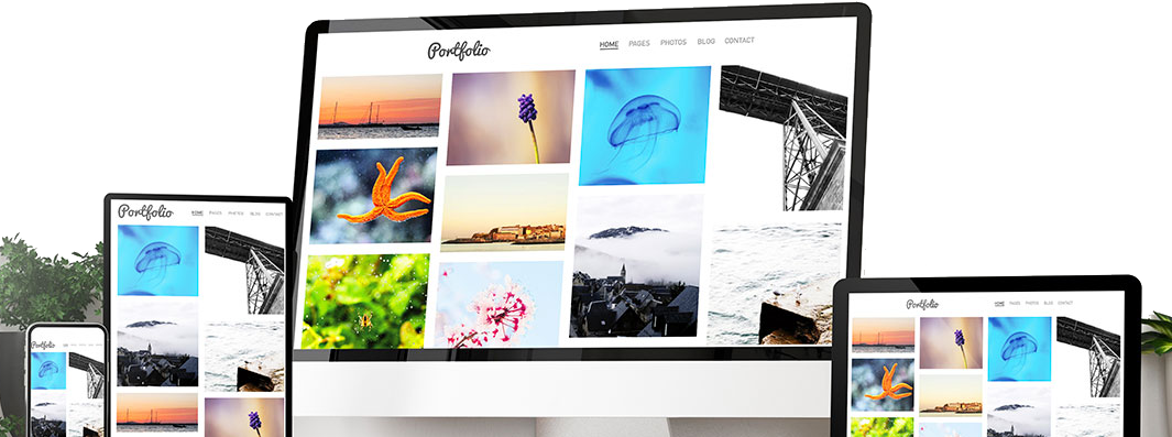 Desarrollo Web Responsive